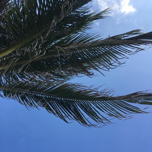 Meet your Posher, Kimberly - Picture 1 of 1